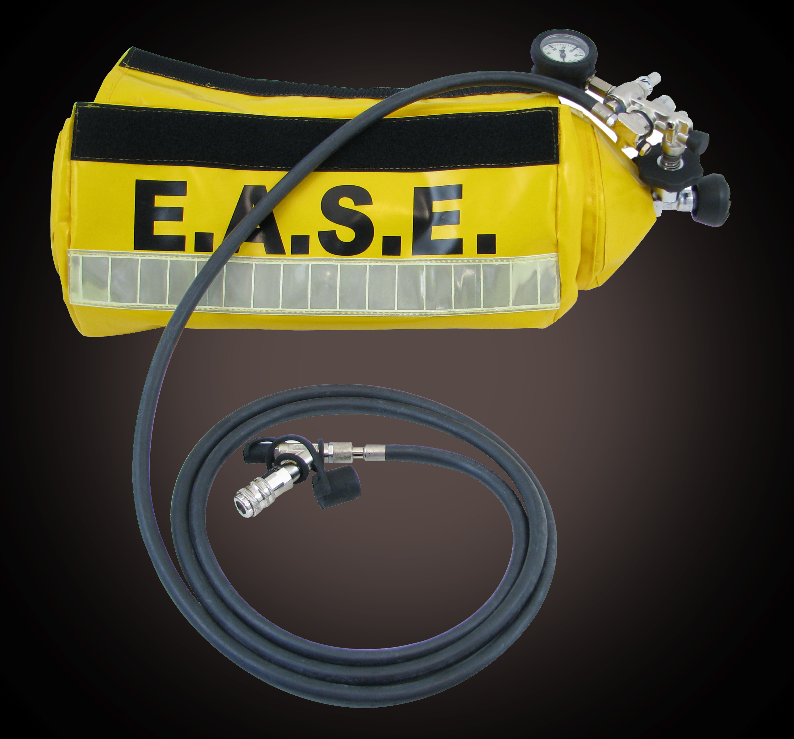 E.A.S.E